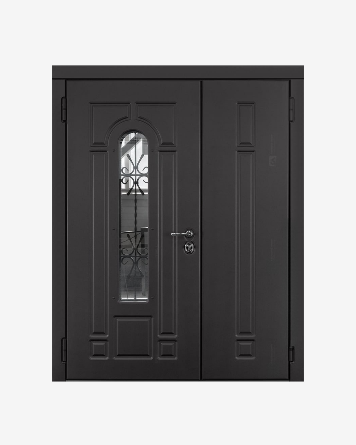 Usa Dubla Exterior Metalica pentru Casa cu Supralumini, Steelline