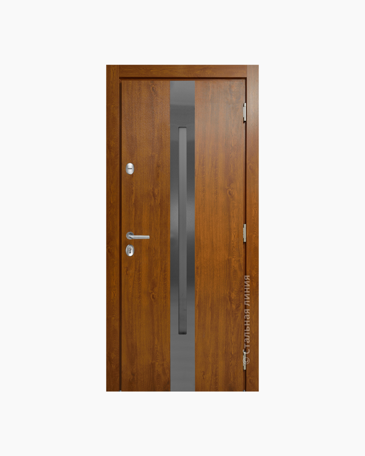 Usa Exterior Aluminiu pentru Casa "Hasky Pro Lampre", Steelline