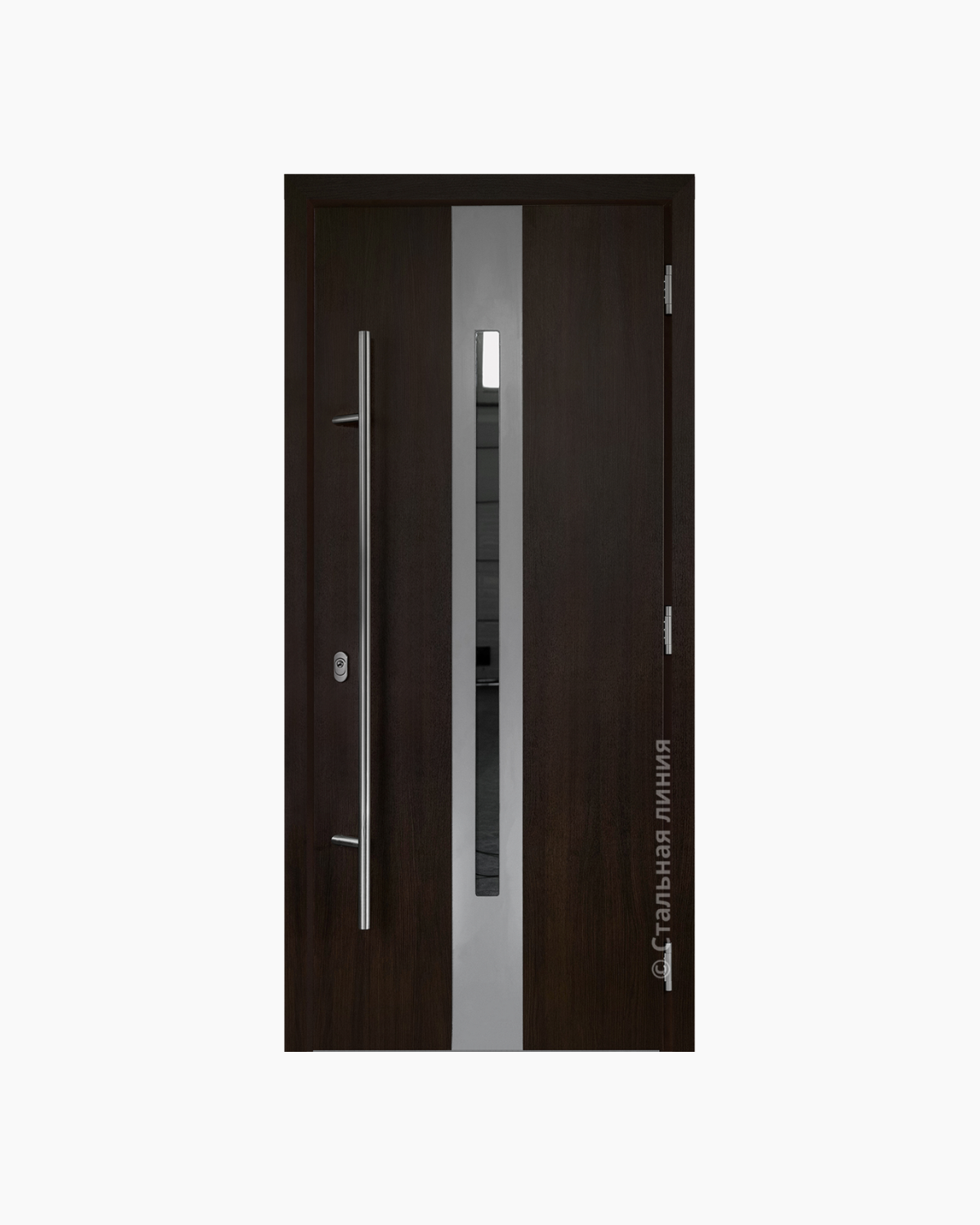 Usa Exterior Aluminiu pentru Casa "Hasky Pro Lampre", Steelline