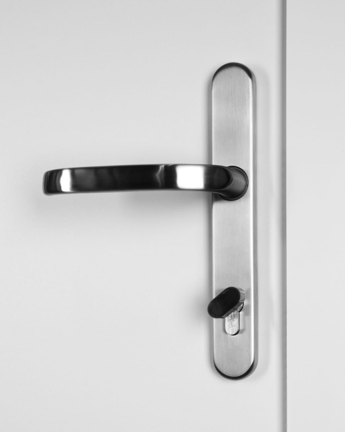 Usa Exterior Aluminiu pentru Casa "Husky 2", Steelline