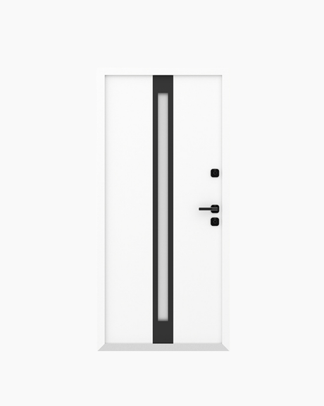 Usa Exterior Aluminiu pentru Casa "Husky 8", Steelline