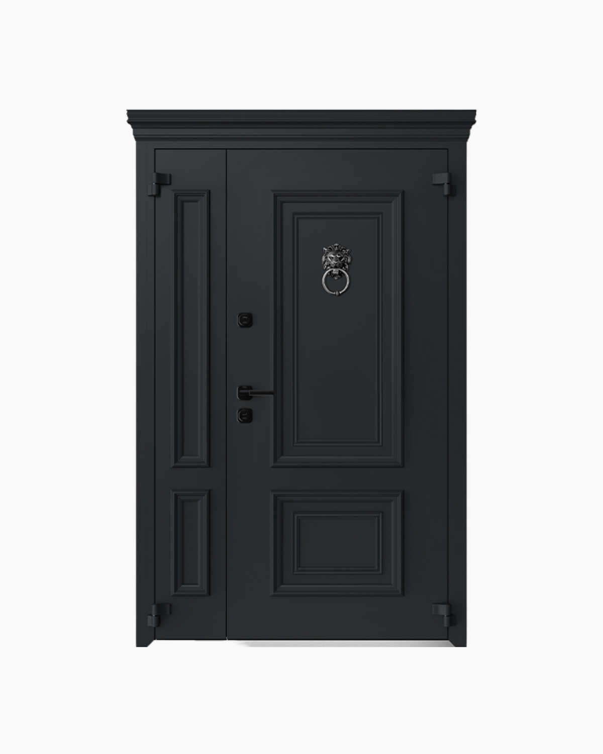 Usa Exterior Aluminiu pentru Casa "Husky 8", Steelline