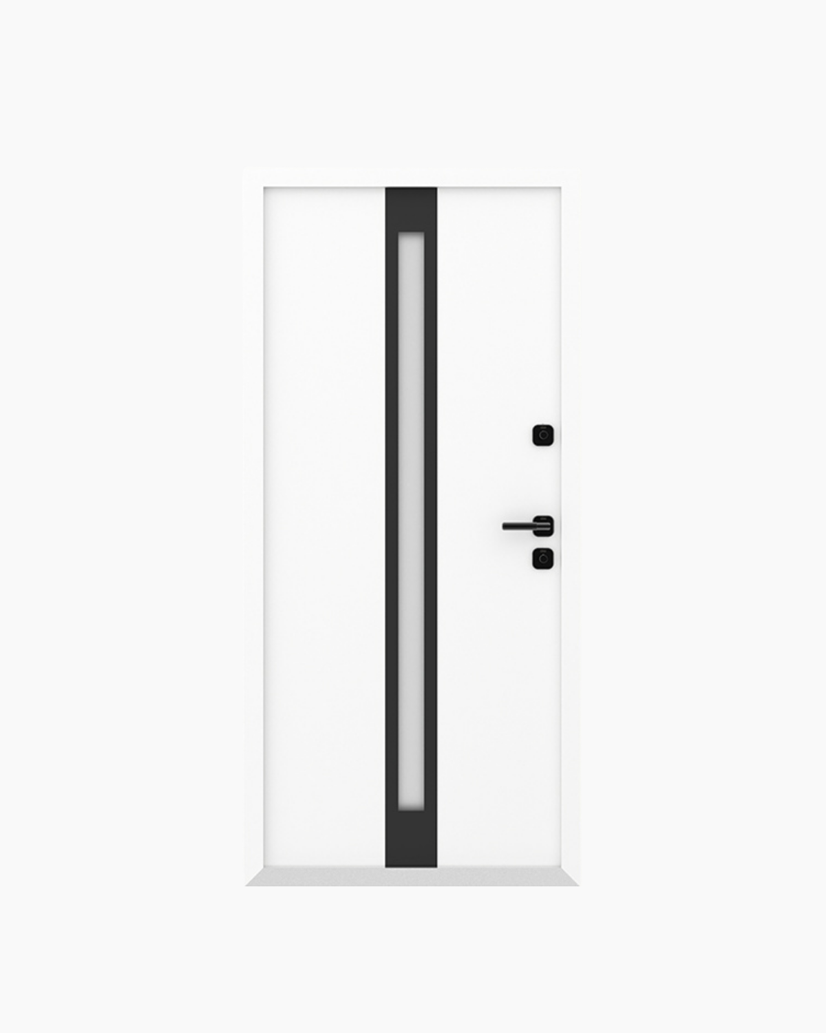 Usa Exterior Aluminiu pentru Casa "Hasky B", Steelline