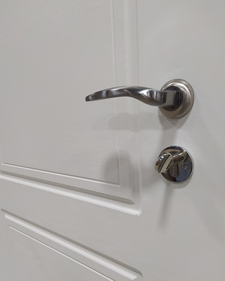 Usa Exterior Metalica pentru Apartament "Ameli", Steelline