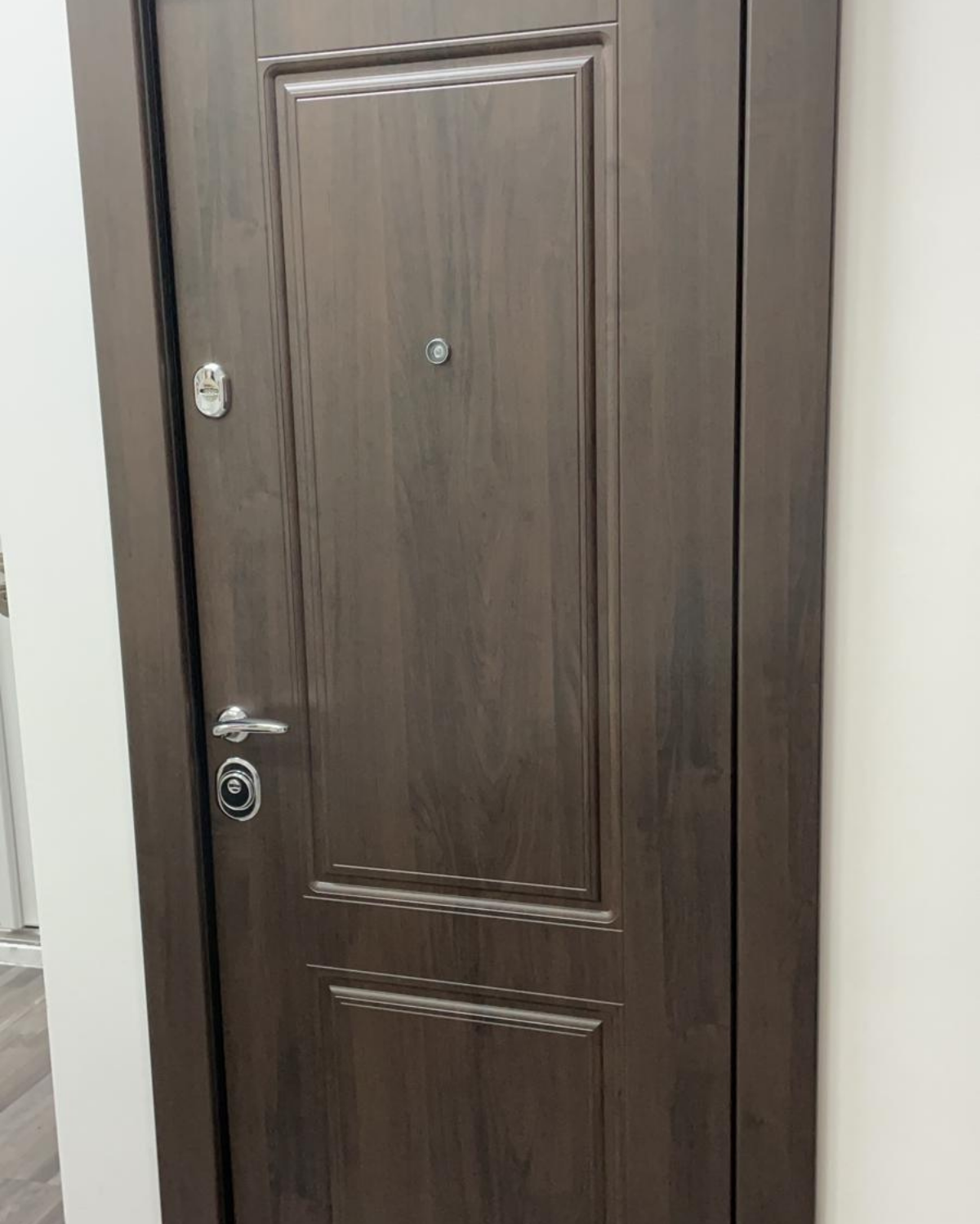 Usa Exterior Metalica pentru Apartament "Nicoli Pro", Steelline