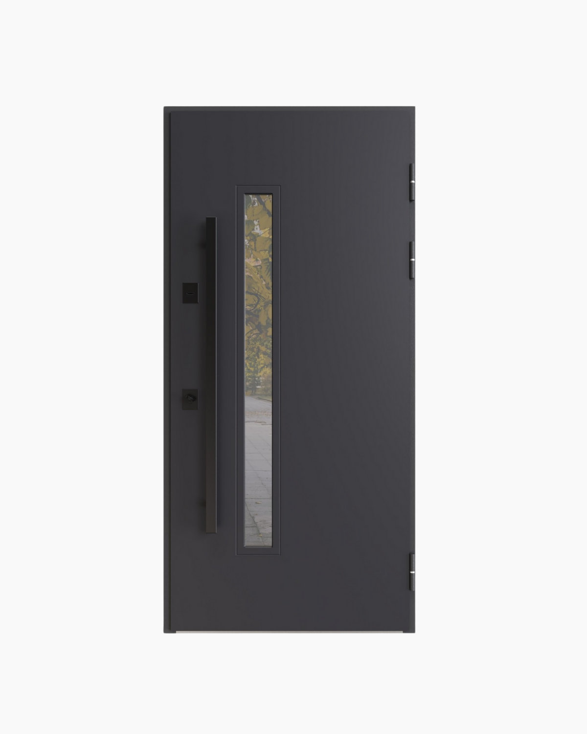 Usa Exterior Metalica pentru Casa "Premium Nordik Glass" Premium Thermo, Antracite