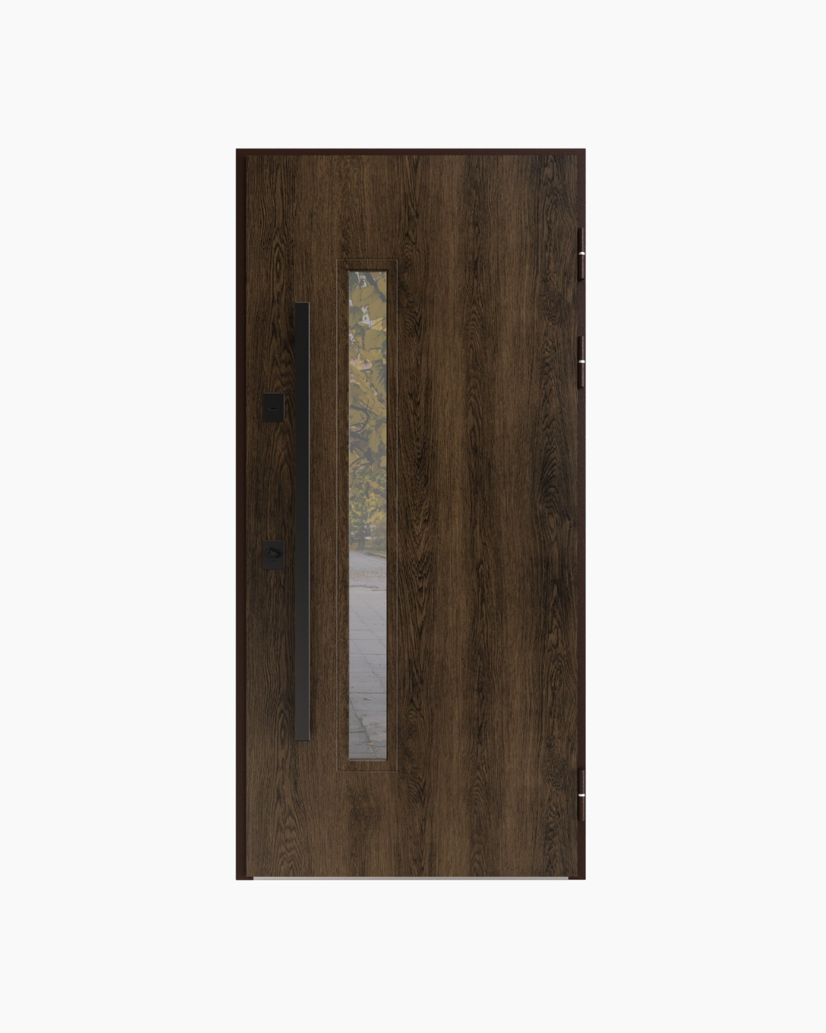 Usa Exterior Metalica pentru Casa "Premium Nordik Glass" Premium Thermo, Antracite