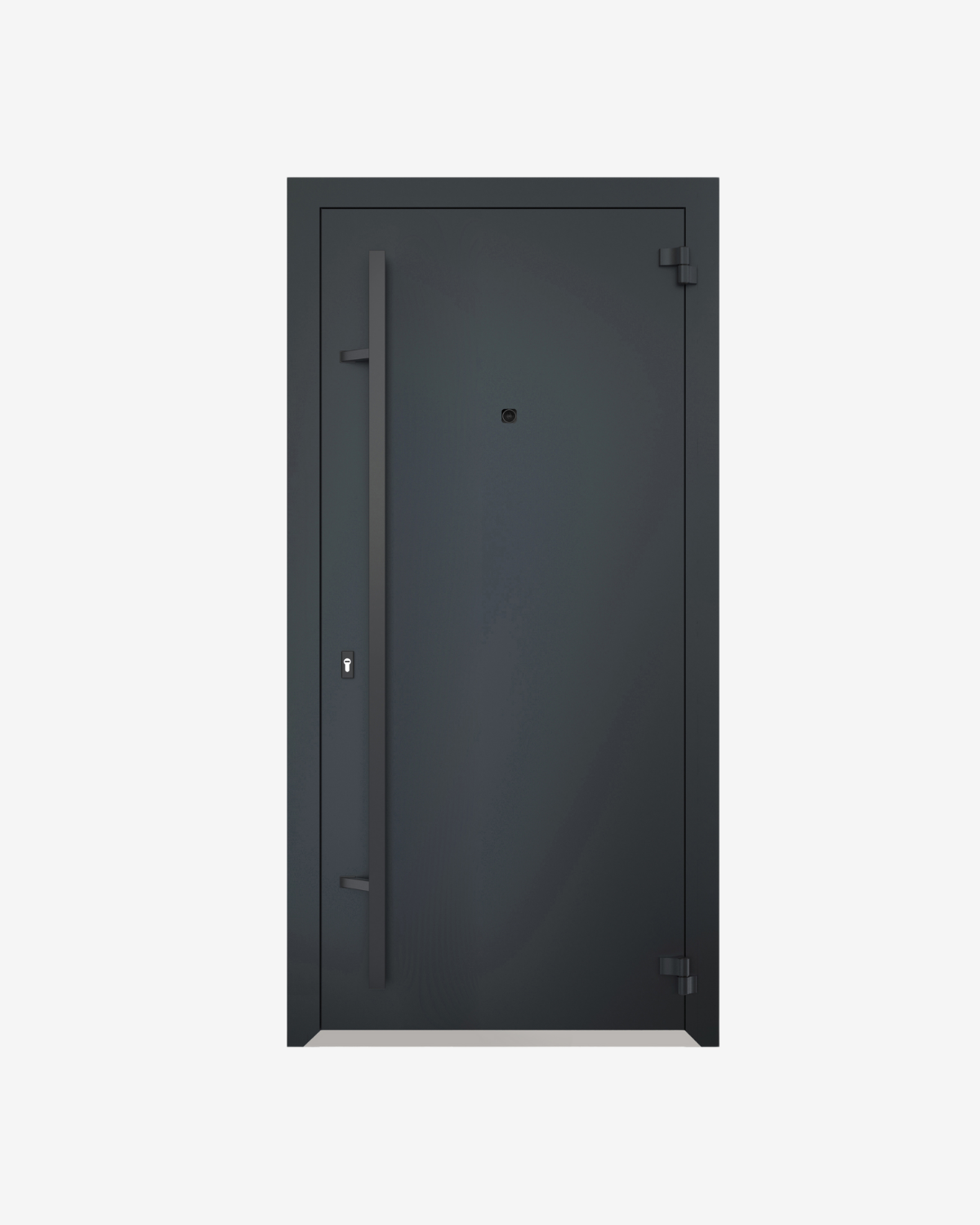 Usa Exterior Aluminiu pentru Casa Hasky PL, Steelline