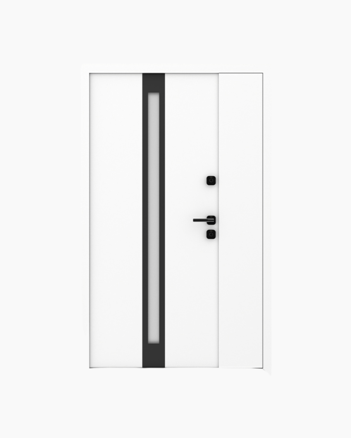 Usa Exterior Aluminiu pentru Casa Hasky Pro, Steelline