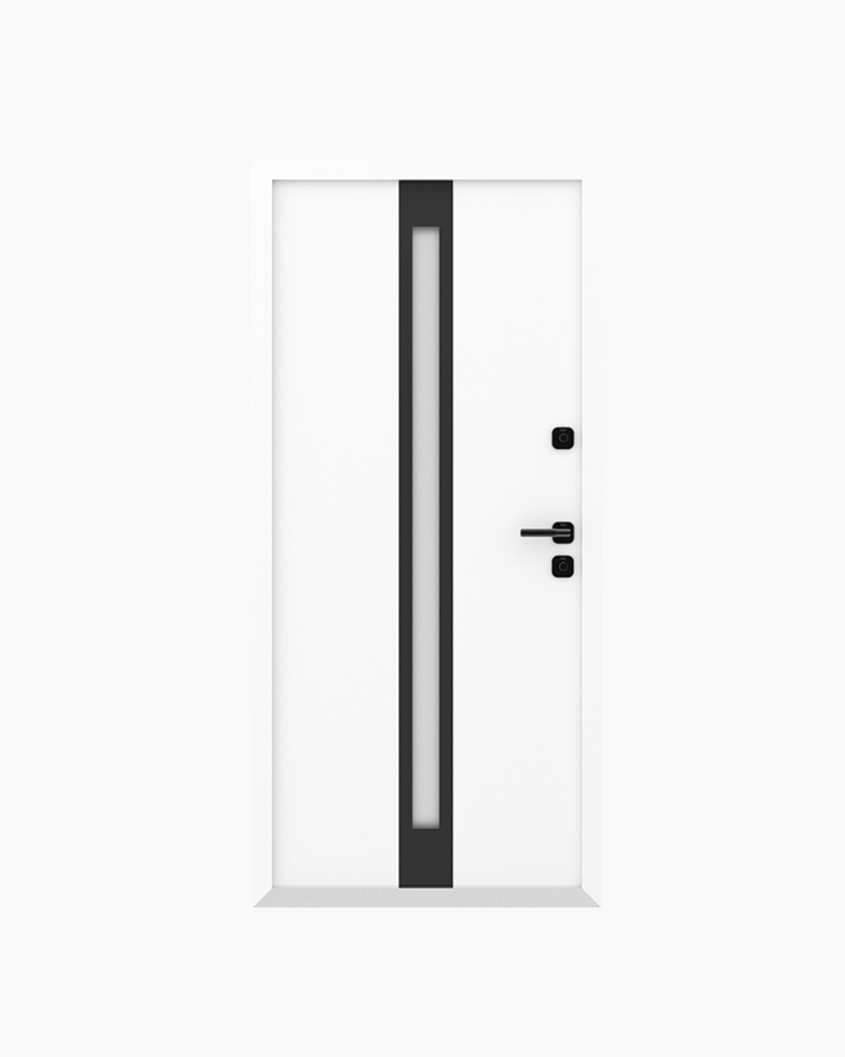 Usa Exterior Aluminiu pentru Casa Hasky Pro, Steelline