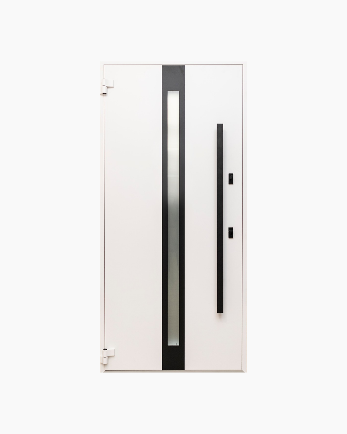 Usa Exterior Aluminiu pentru Casa Hasky Pro, Steelline