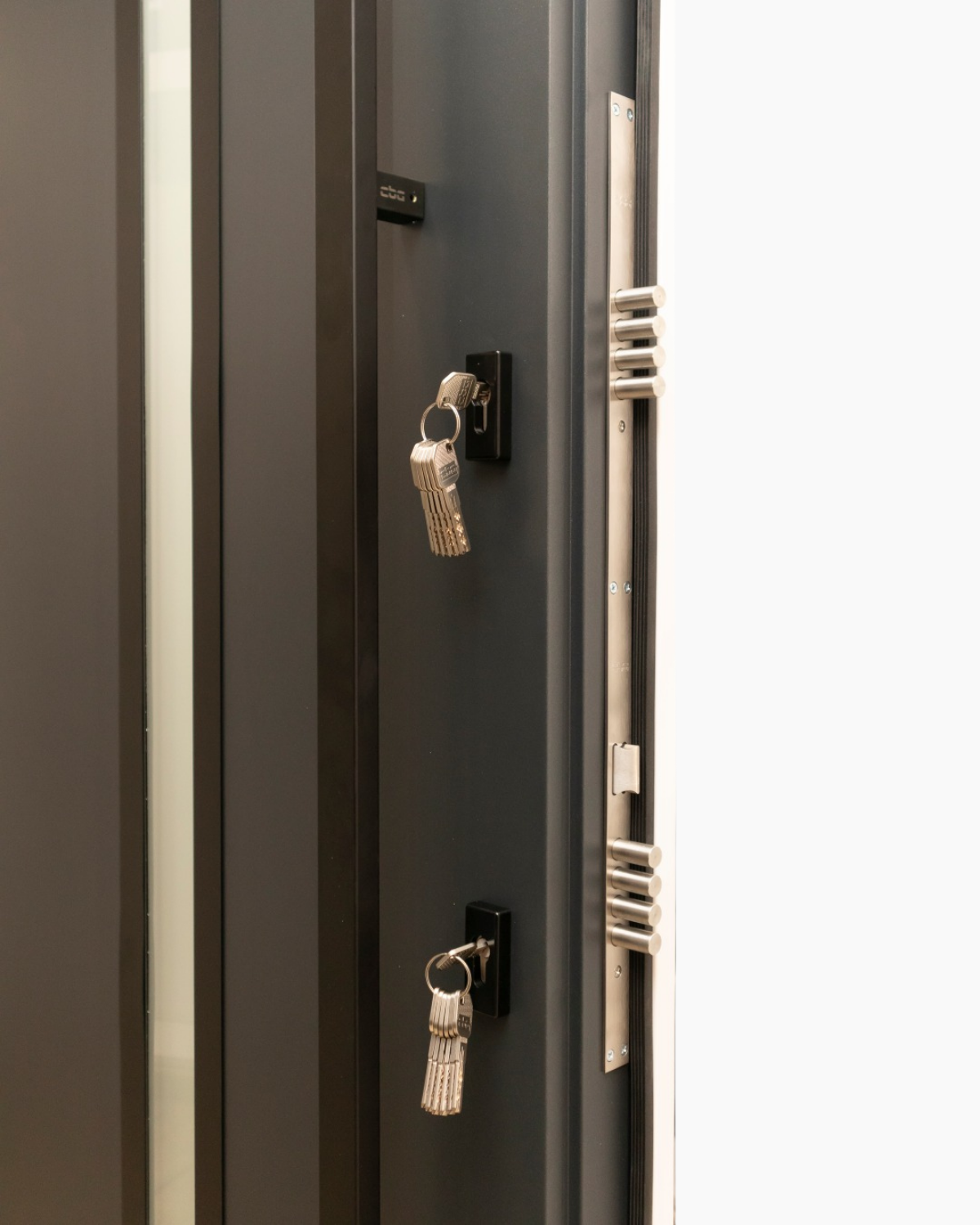 Usa Exterior Aluminiu pentru Casa Hasky Pro, Steelline