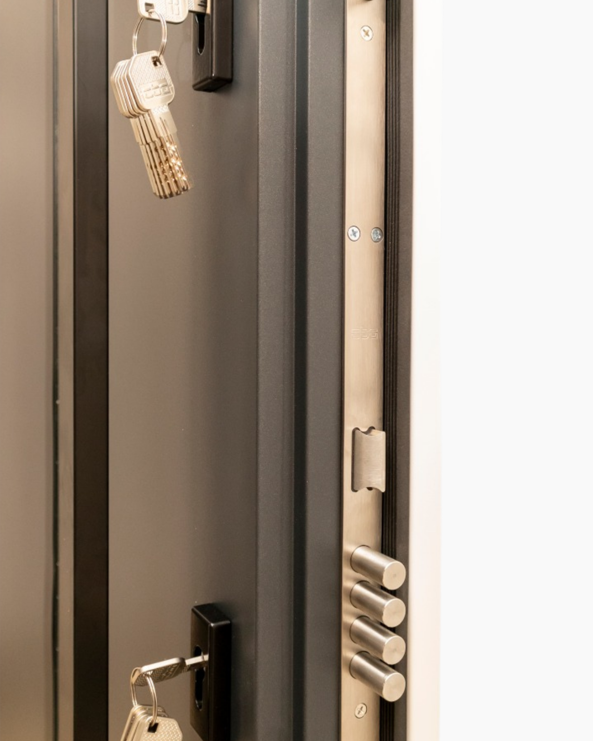 Usa Exterior Aluminiu pentru Casa Hasky Pro, Steelline