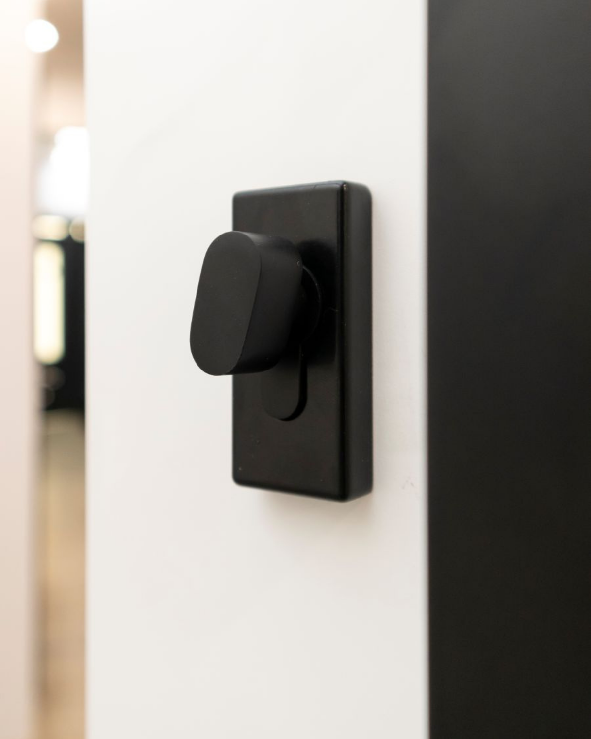 Usa Exterior Aluminiu pentru Casa Hasky Pro, Steelline