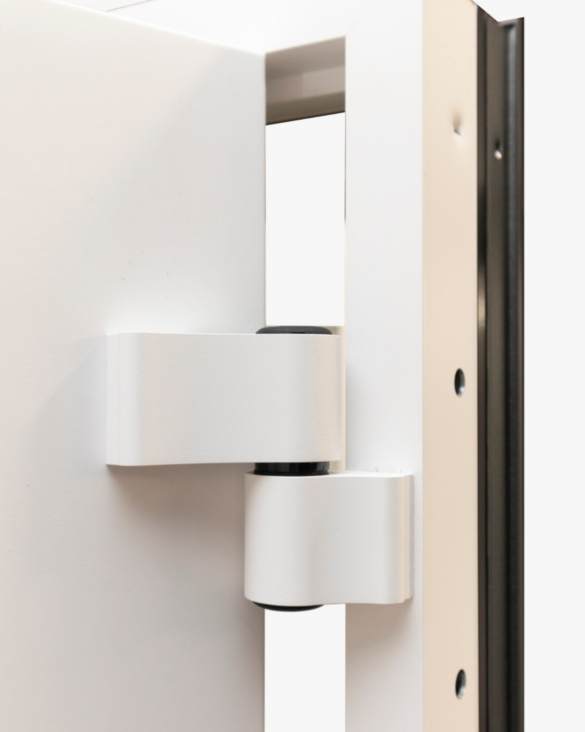 Usa Exterior Aluminiu pentru Casa Hasky Pro, Steelline