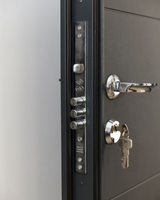 Usa Exterior Metalica pentru Apartament "Standard" Thermo Standard, Maro/Alb