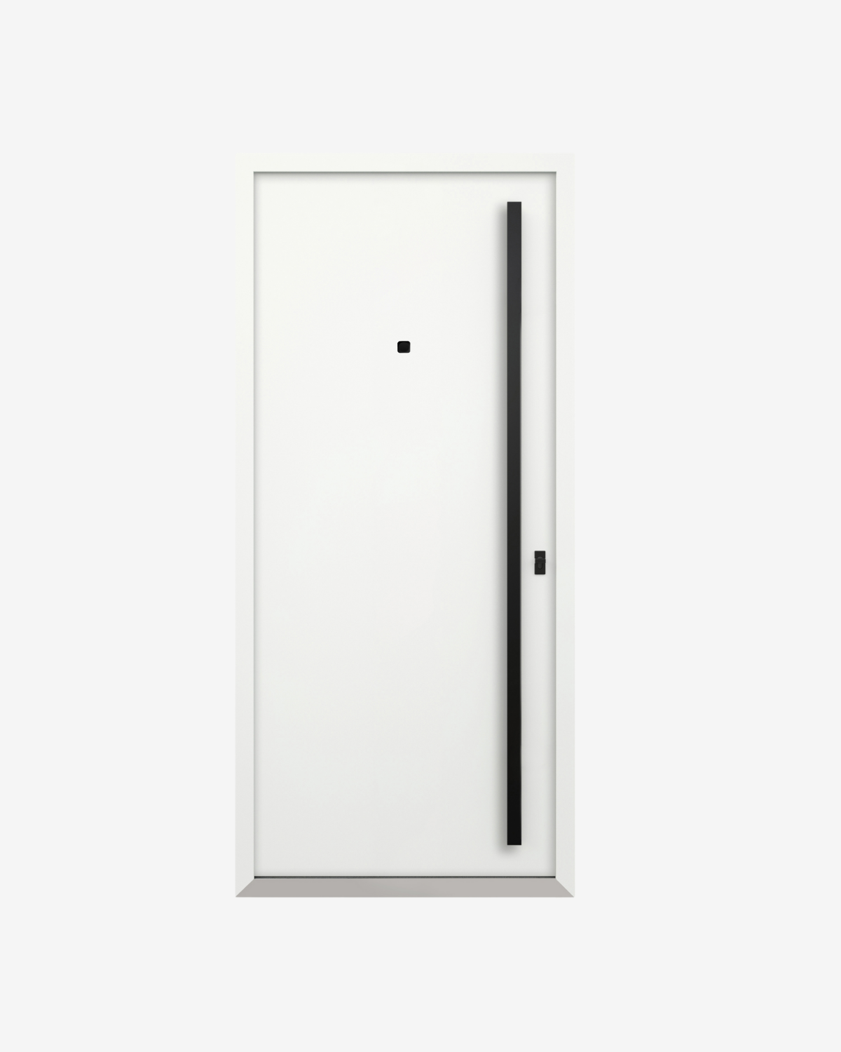 Usa Exterior Aluminiu pentru Casa Hasky PL, Steelline