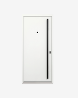Usa Exterior Aluminiu pentru Casa Hasky PL, Steelline