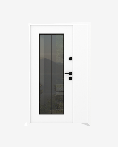 Usa Exterior Aluminiu pentru Casa "AG2-6041", Steelline